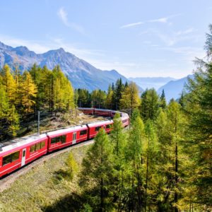 red and white train near trees during daytime
