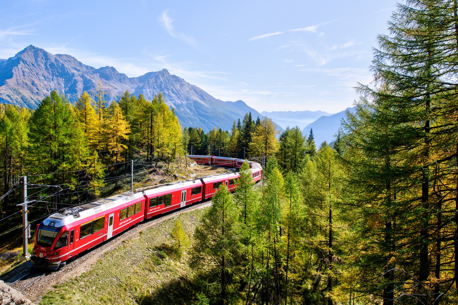 red and white train near trees during daytime